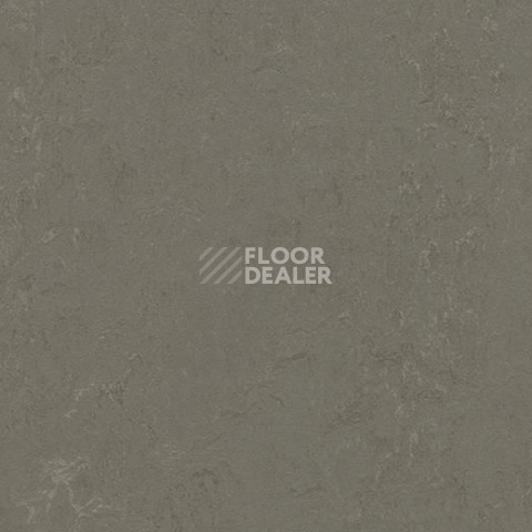 Линолеум Forbo Marmoleum Decibel on Order 372335 nebula фото 1 | FLOORDEALER
